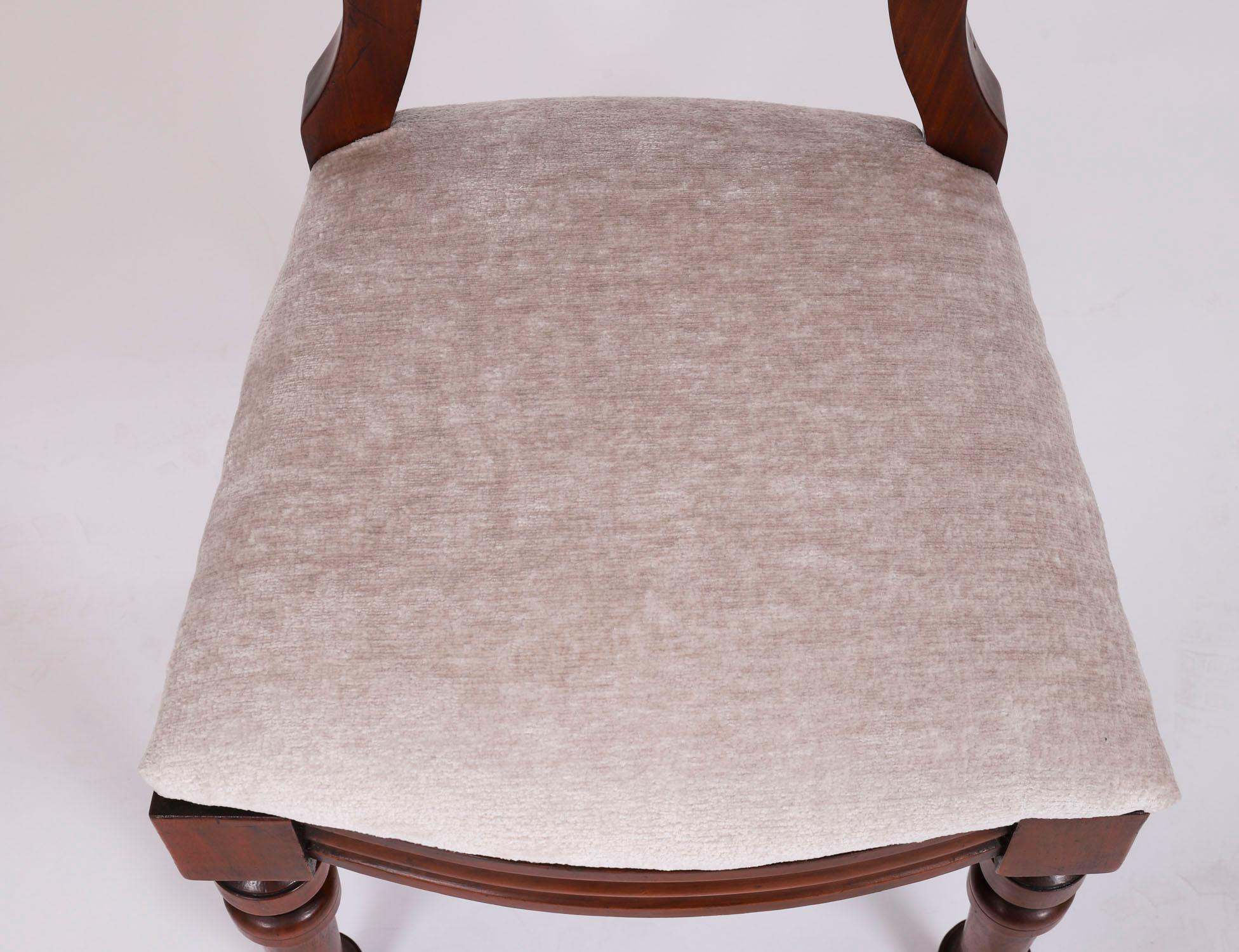 Tessuto Antico set di 18 sedie da pranzo vittoriane del XIX secolo in vendita