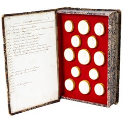 Antique Set 28 Book Framed Plaster Grand Tour Intaglios Portraits, 19th Century