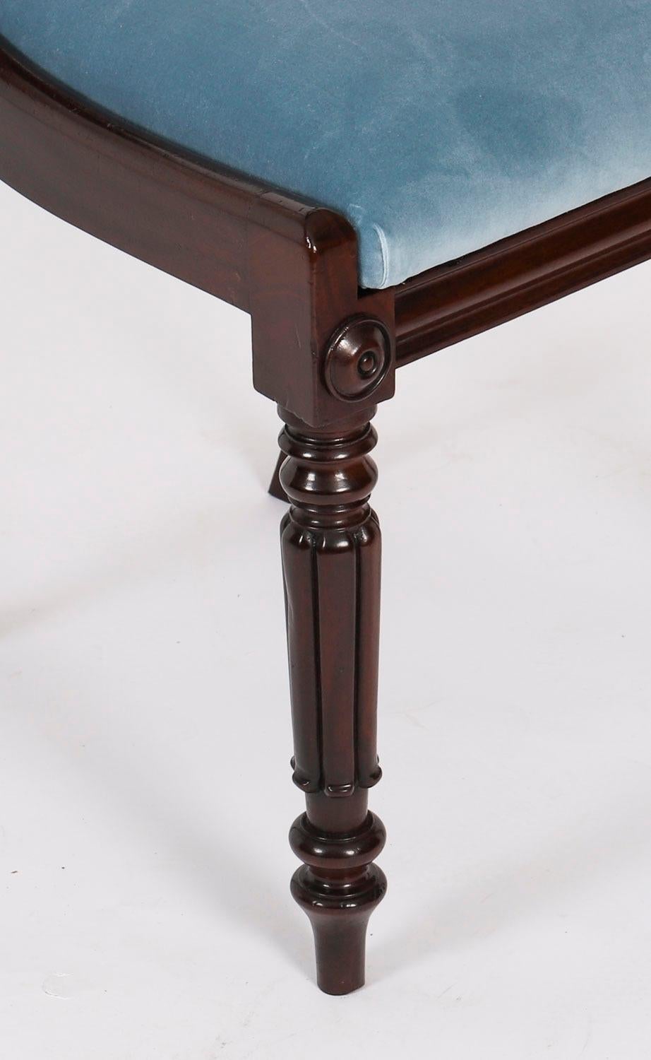Ensemble ancien de 8 chaises de salle à manger anglaises William IV Barback datant d'environ 1830 19ème siècle en vente 13