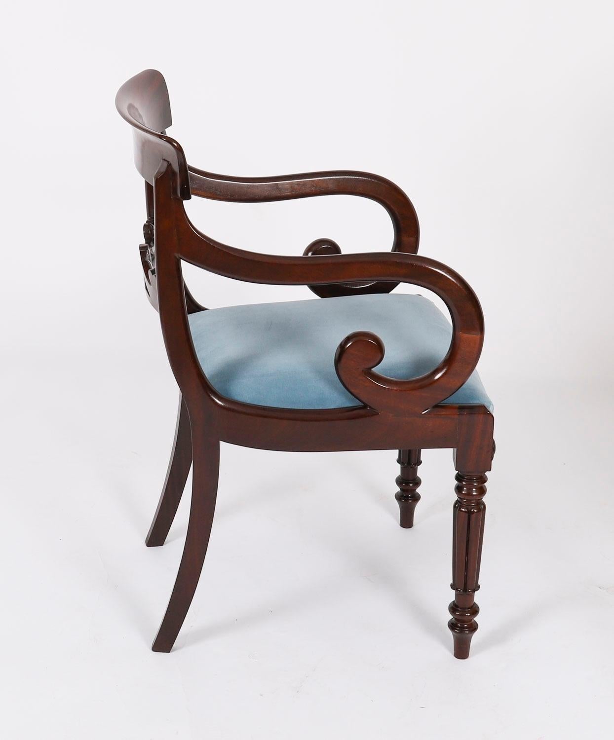 Acajou Ensemble ancien de 8 chaises de salle à manger anglaises William IV Barback datant d'environ 1830 19ème siècle en vente