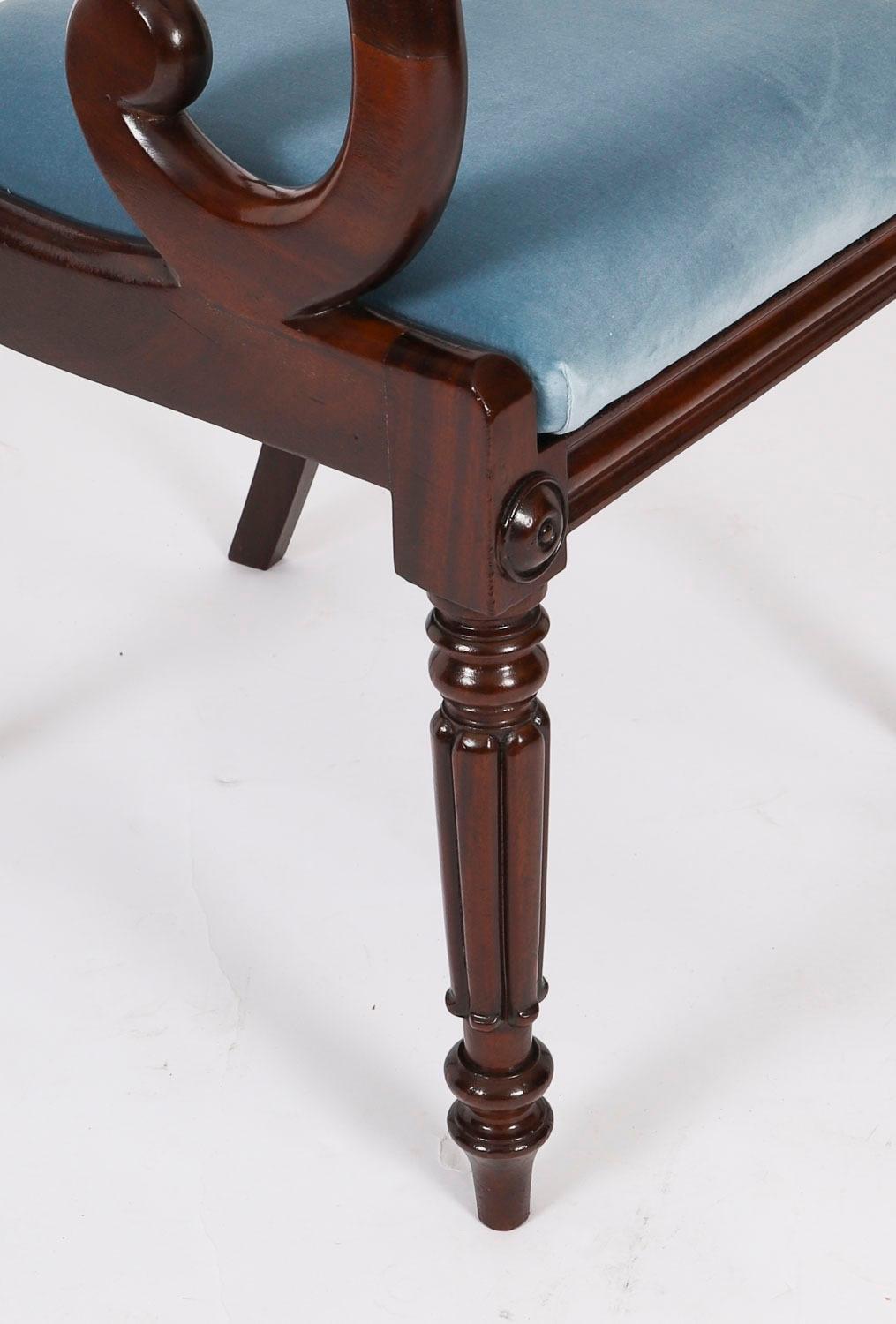 Ensemble ancien de 8 chaises de salle à manger anglaises William IV Barback datant d'environ 1830 19ème siècle en vente 2