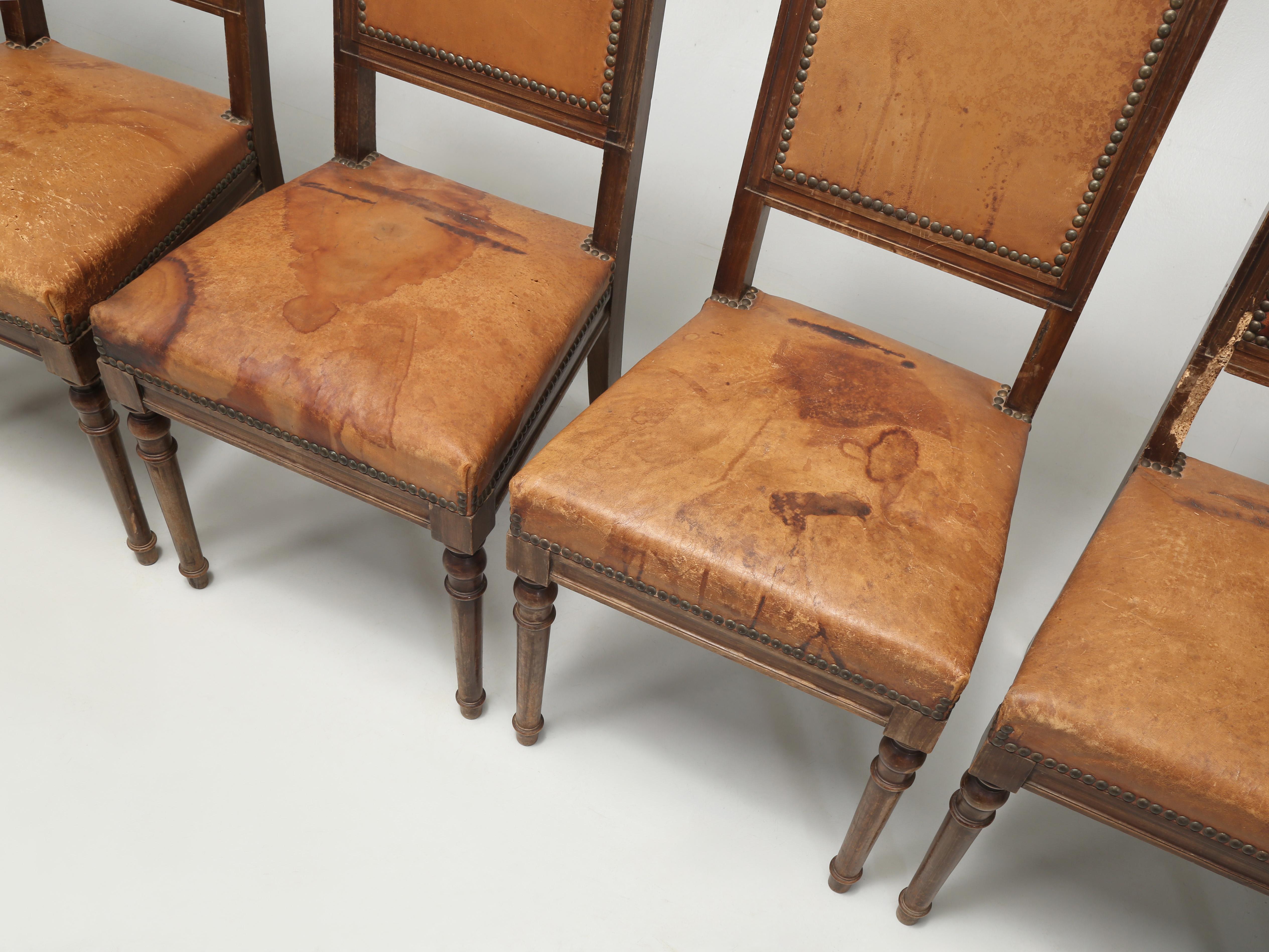 Antikes Set (8) Französische Esszimmerstühle im Louis-XVI.-Stil aus altem Leder, unrestauriert  im Angebot 1