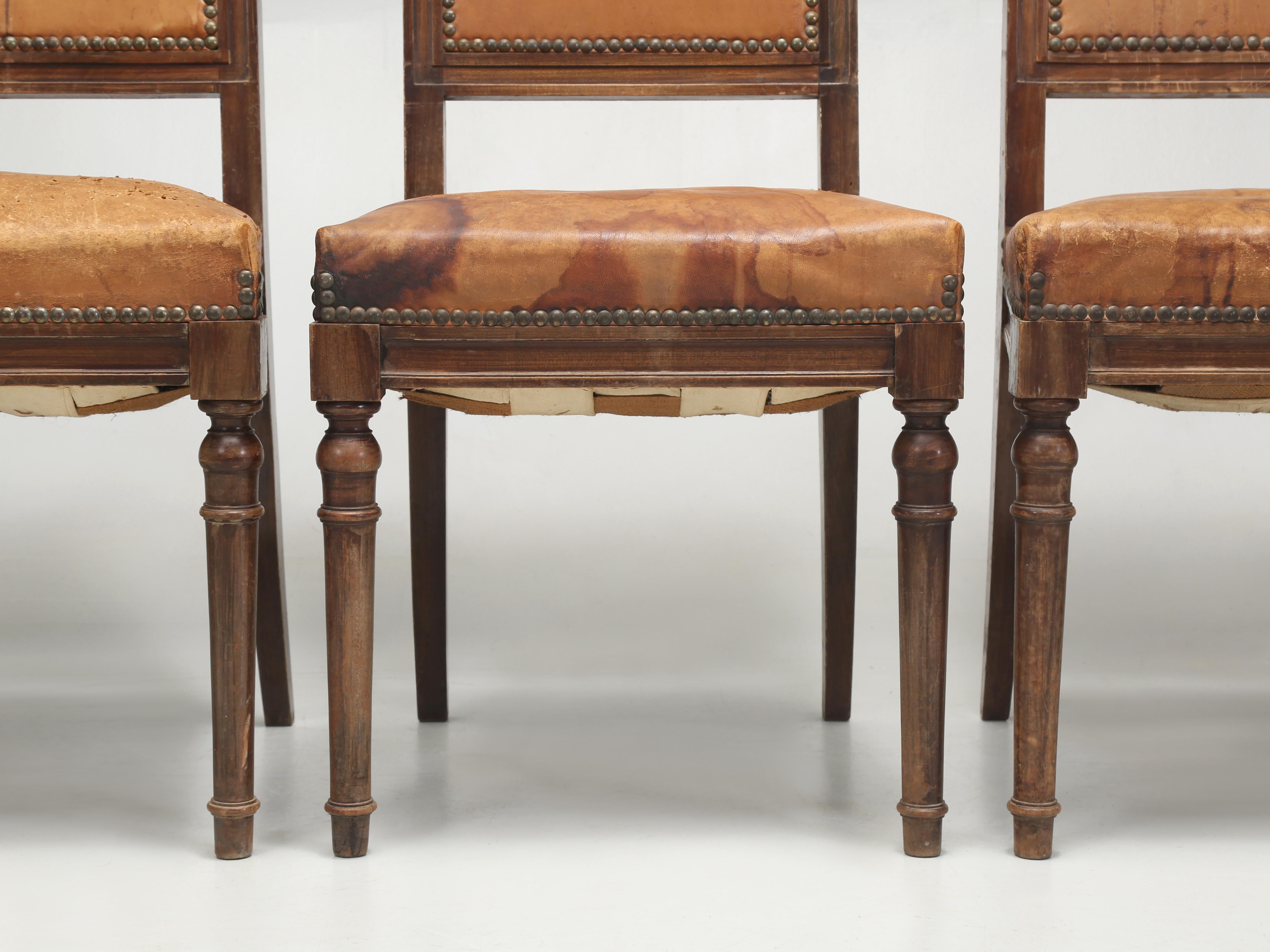 Antikes Set (8) Französische Esszimmerstühle im Louis-XVI.-Stil aus altem Leder, unrestauriert  im Angebot 2