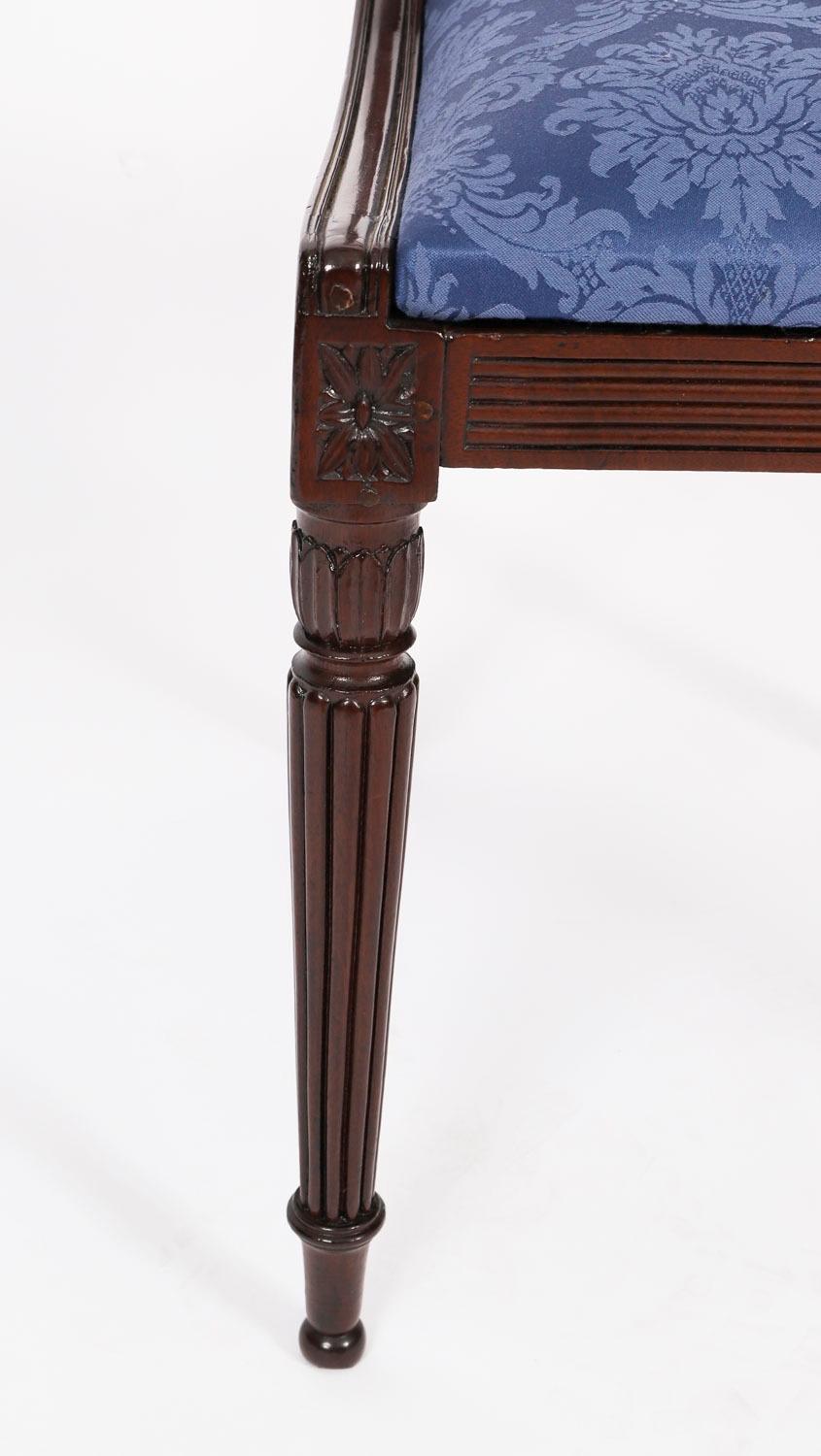 Antique Set 8 Regency Period Dining Chairs C1820 19th Century 3