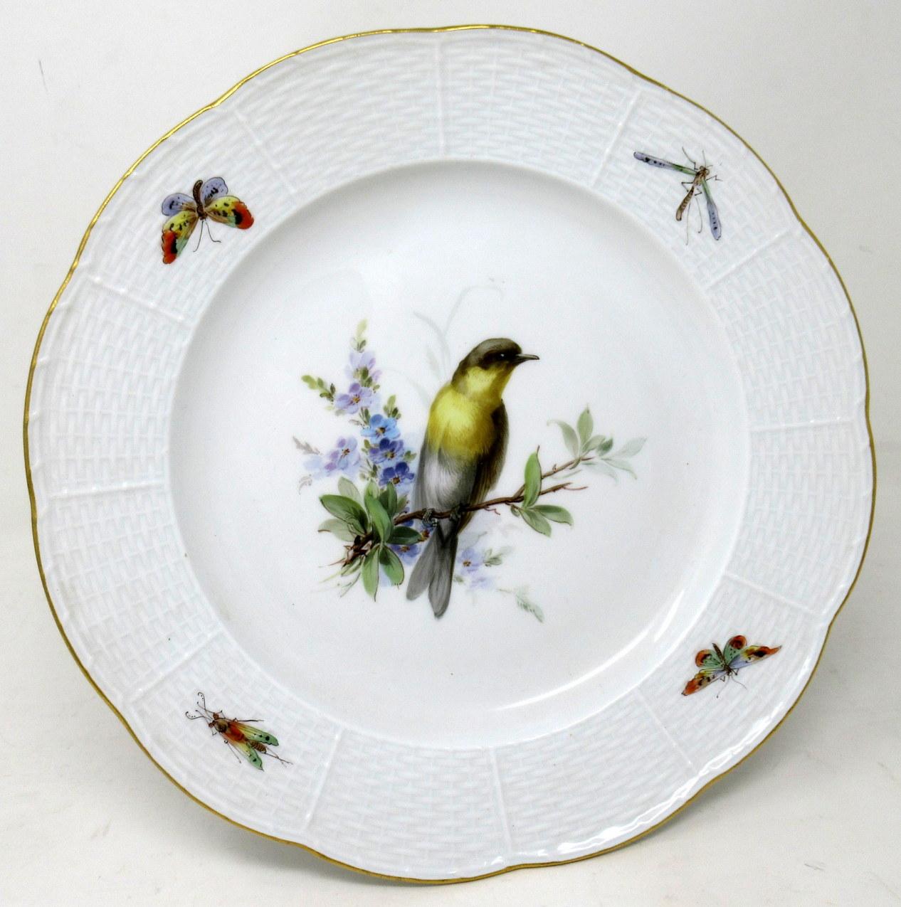 Victorian Antique Set German Dresden Meissen Ornithological Bird Insect Cabinet Plates