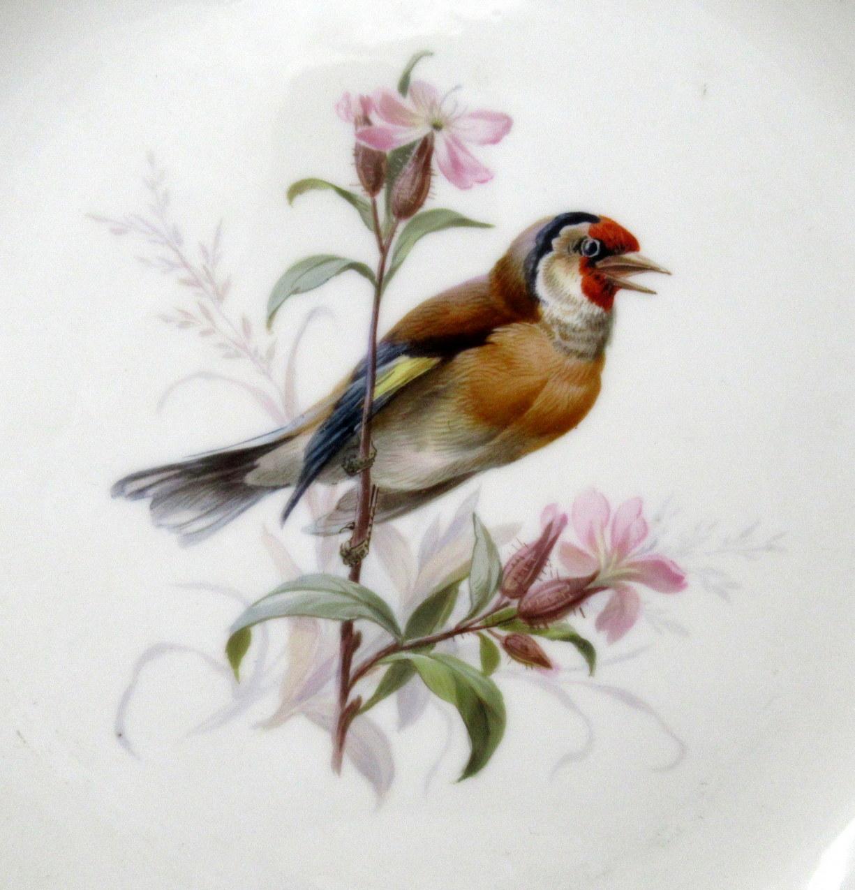 Antique Set German Dresden Meissen Ornithological Bird Insect Cabinet Plates 2