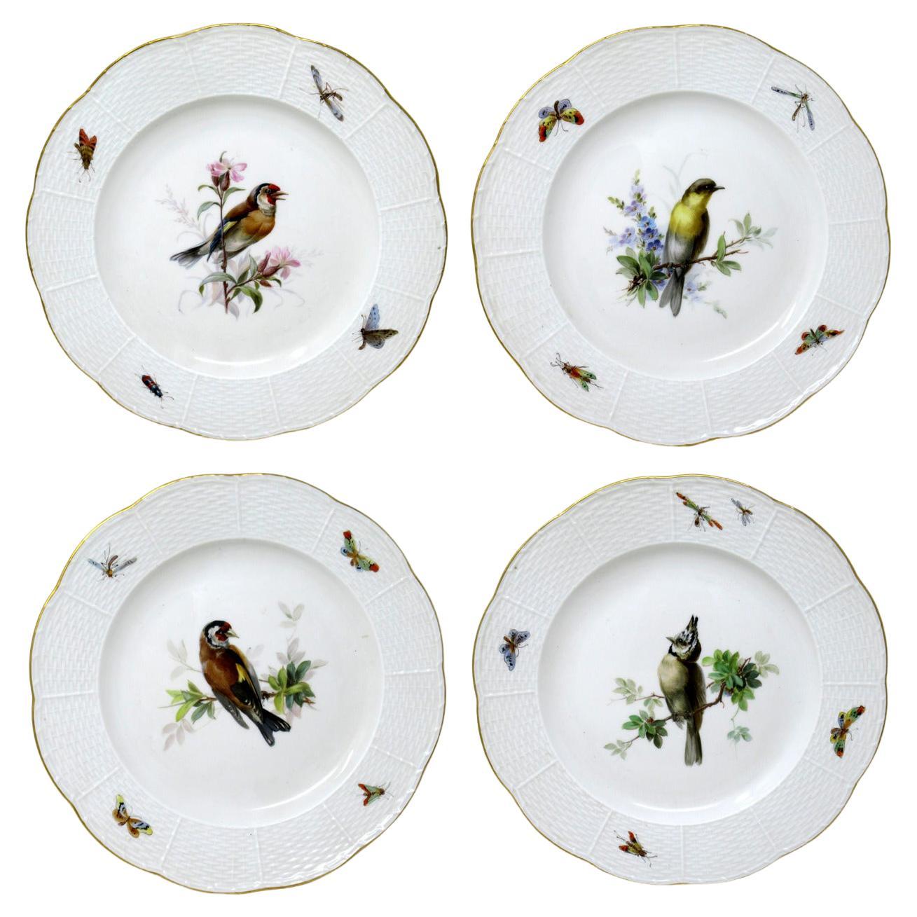 Antique Set German Dresden Meissen Ornithological Bird Insect Cabinet Plates