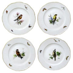 Antique Set German Dresden Meissen Ornithological Bird Insect Cabinet Plates