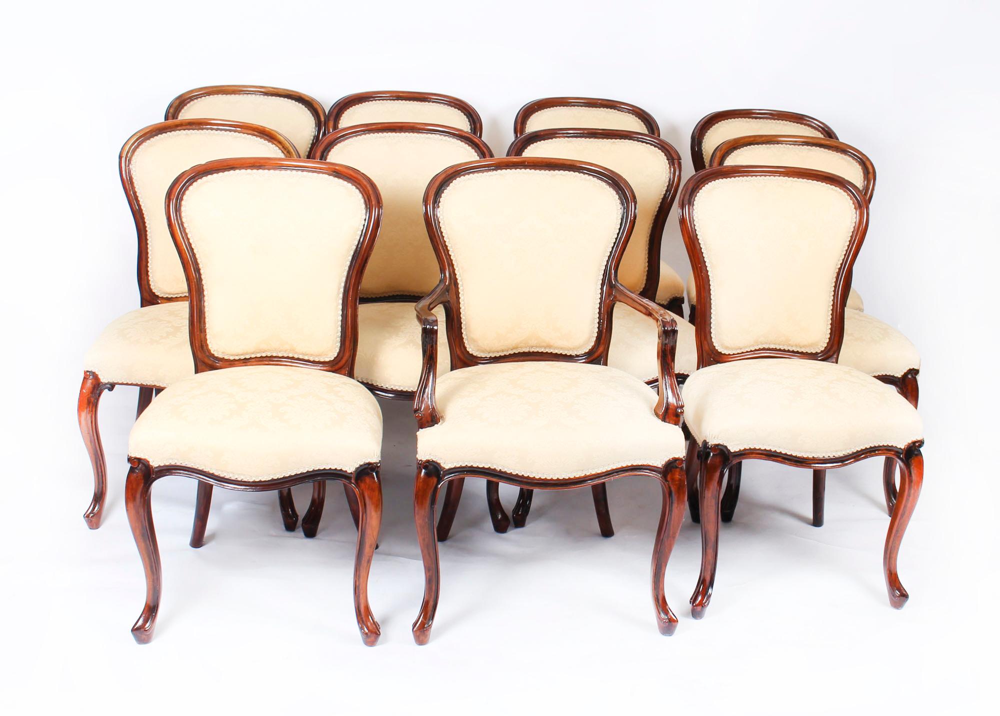 Antique Set of 10 Louis Revival Cabriole Dining Chairs 19th Century 6