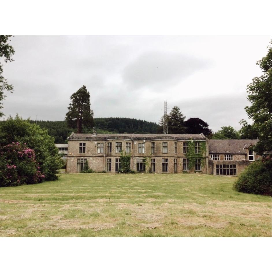 Antiguo Juego de 12 Apliques de Ormolu Franceses de 3 Brazos Renacimiento Luis Siglo XX en venta 12