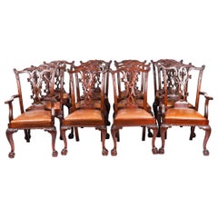 Antico set di 12 sedie da pranzo Chippendale in mogano Circa 1900