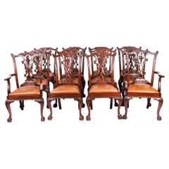 Antique Set of 12 Mahogany Chippendale Dining Chairs Early 20th Century