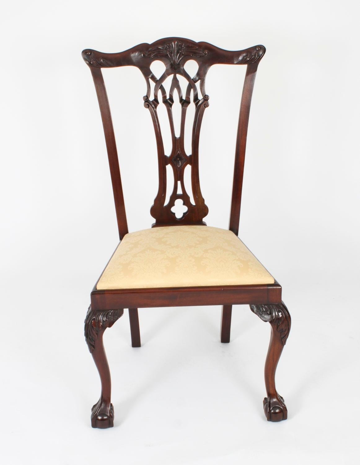 A beautiful antique set of fourteen solid mahogany Chippendale Revival dining chairs, comprising twelve sidechairs and two armchairs, dating from Circa 1910.

The chairs have carved cresting rails, pierced back splats, drop in seats and are raised