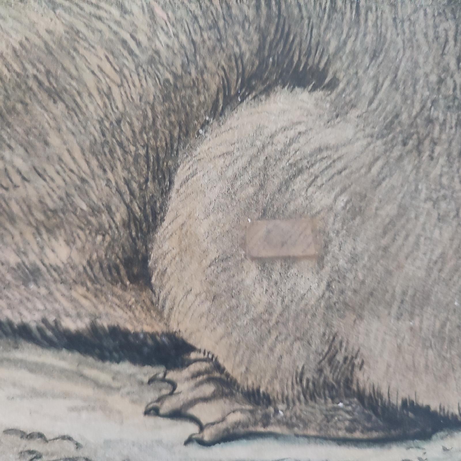 Antique Set of 3 Chromolithographed Prints, Double sided, Danske Billeder 1895 For Sale 3