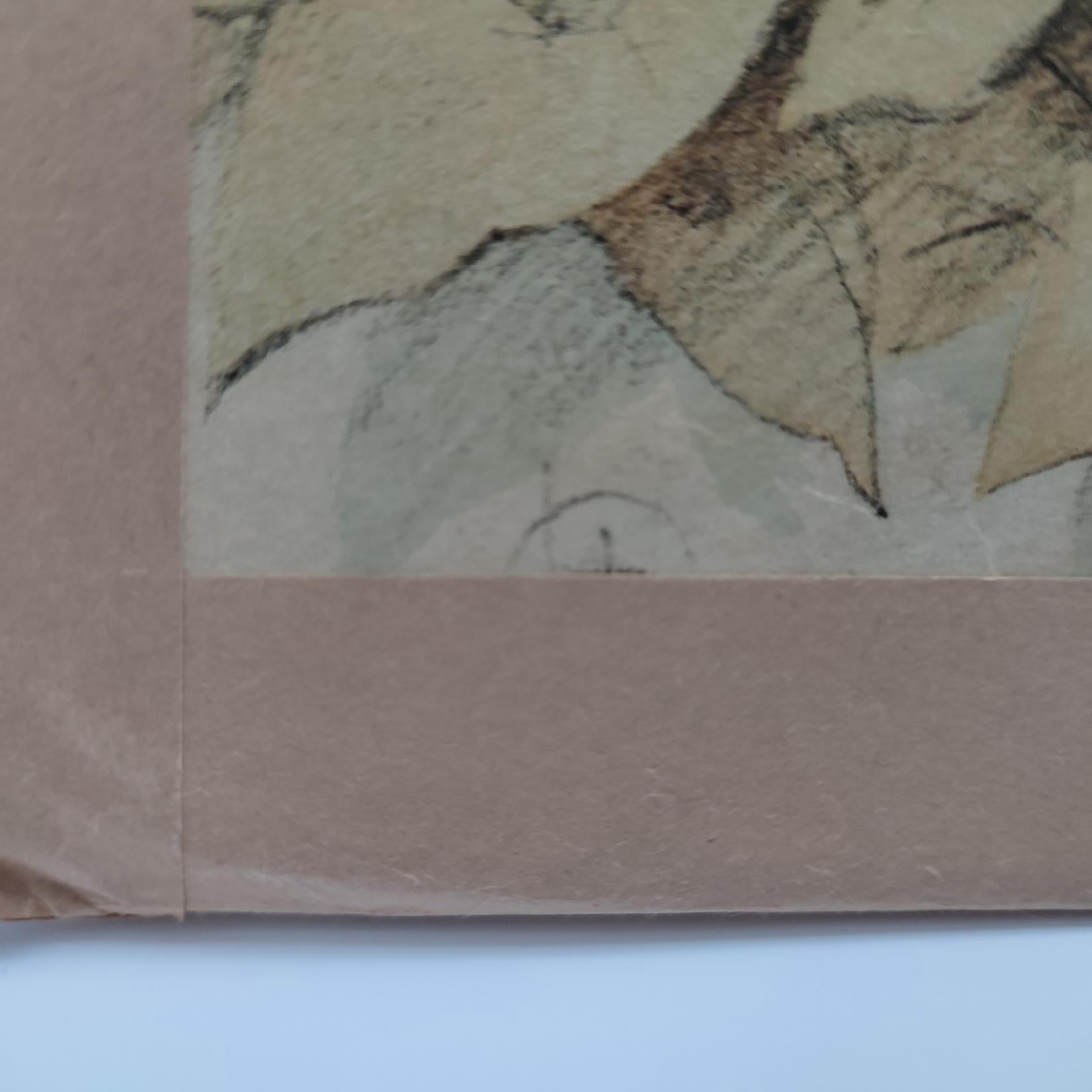 Antique Set of 3 Chromolithographed Prints, Double sided, Danske Billeder 1895 For Sale 4