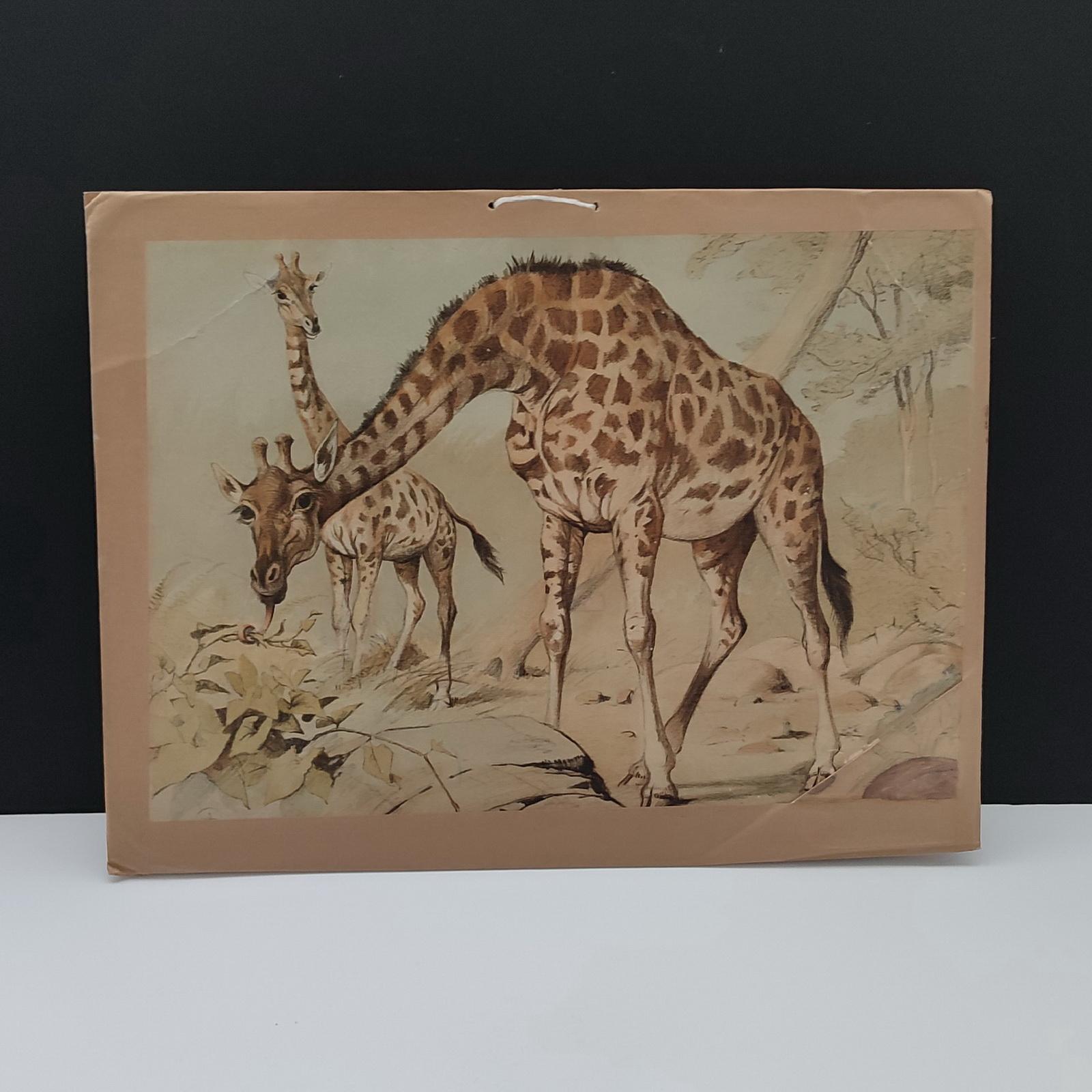 Antique Set of 3 Chromolithographed Prints, Double sided, Danske Billeder 1895 For Sale 5