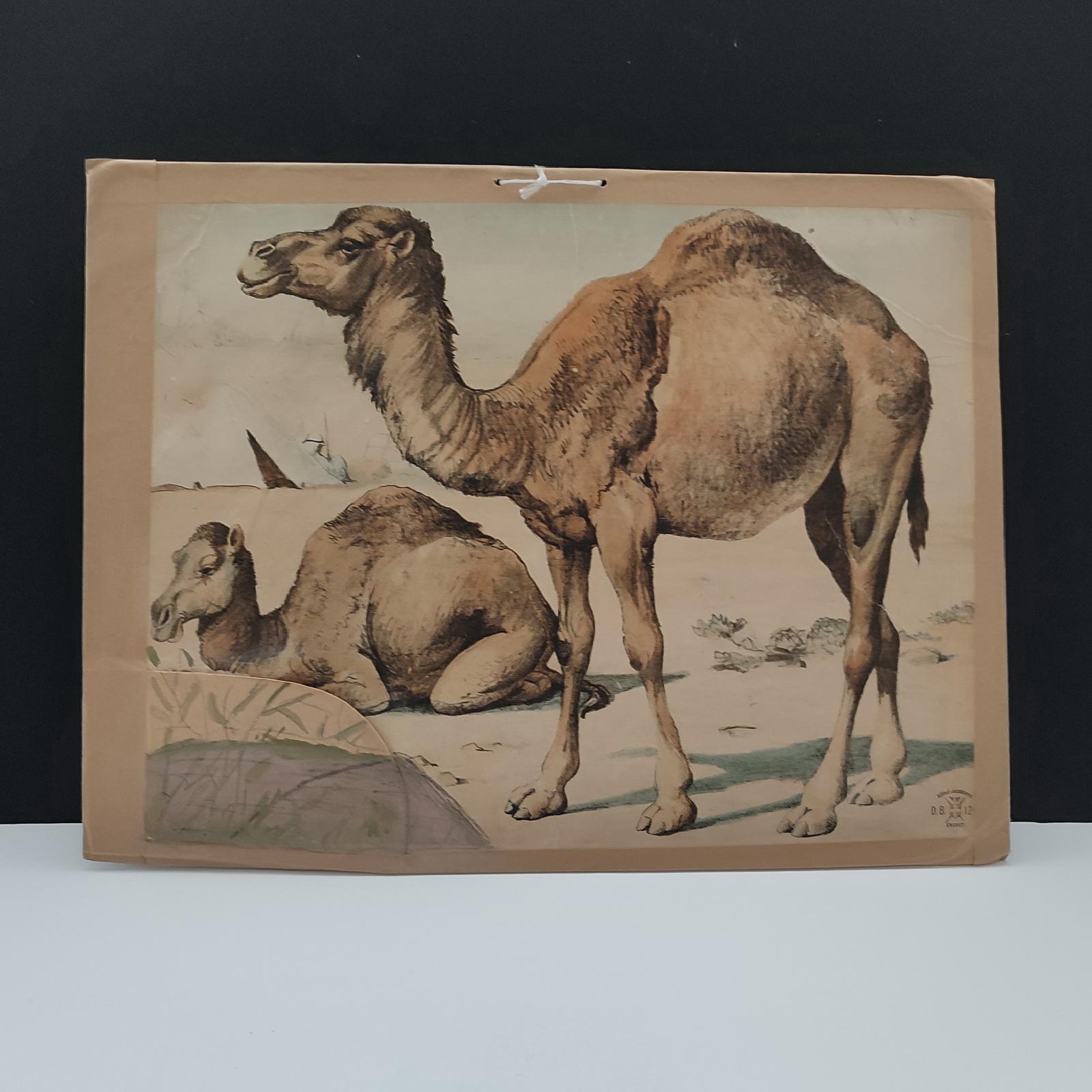 Antique Set of 3 Chromolithographed Prints, Double sided, Danske Billeder 1895 For Sale 6