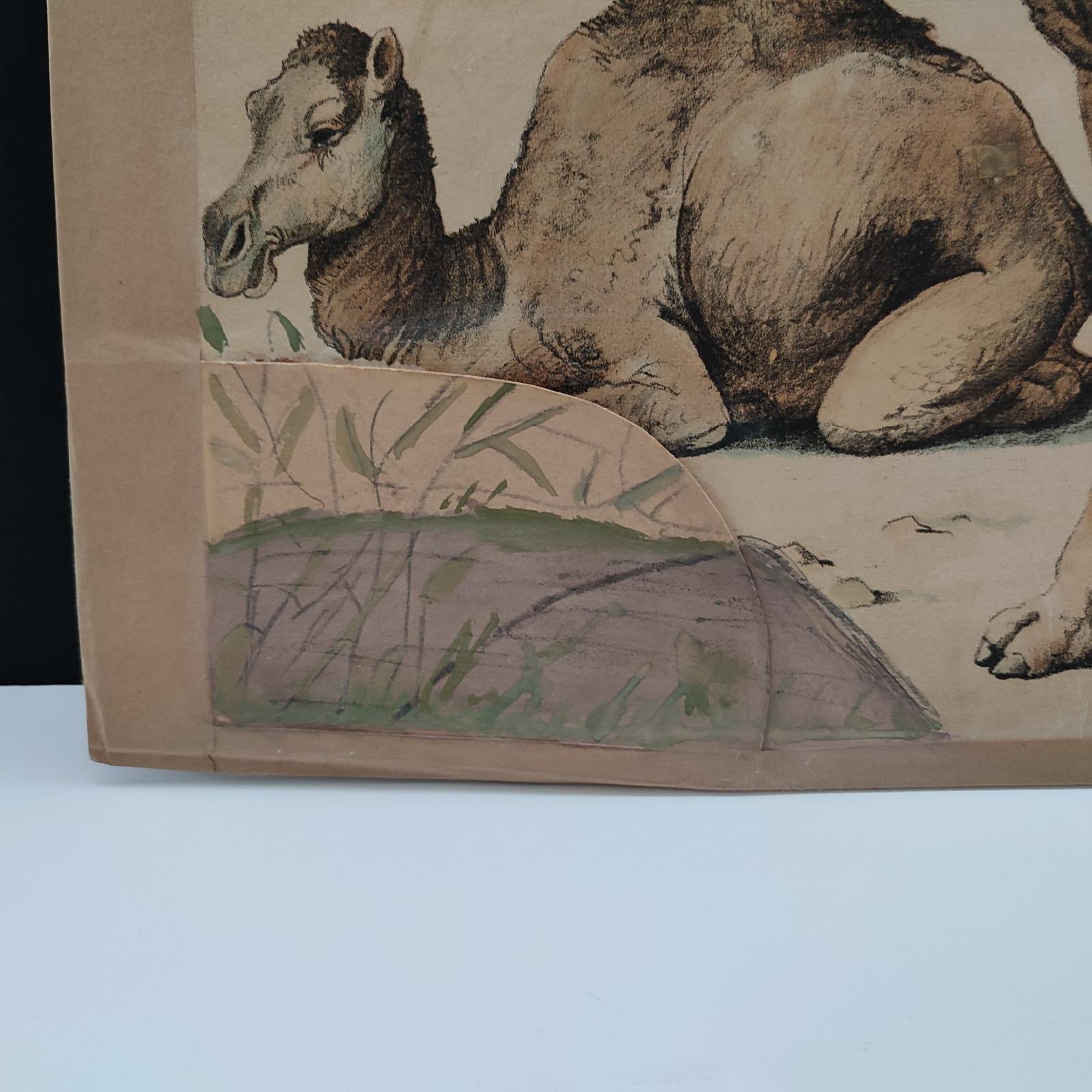 Antique Set of 3 Chromolithographed Prints, Double sided, Danske Billeder 1895 For Sale 7