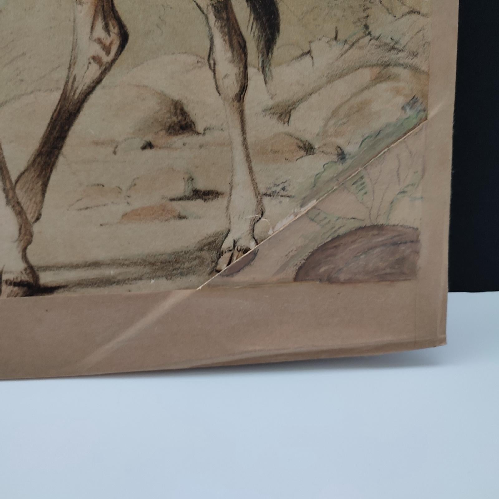 Antique Set of 3 Chromolithographed Prints, Double sided, Danske Billeder 1895 For Sale 9