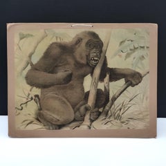 Antico set di 3 stampe cromolitografate, fronte/retro, Danske Billeder 1895