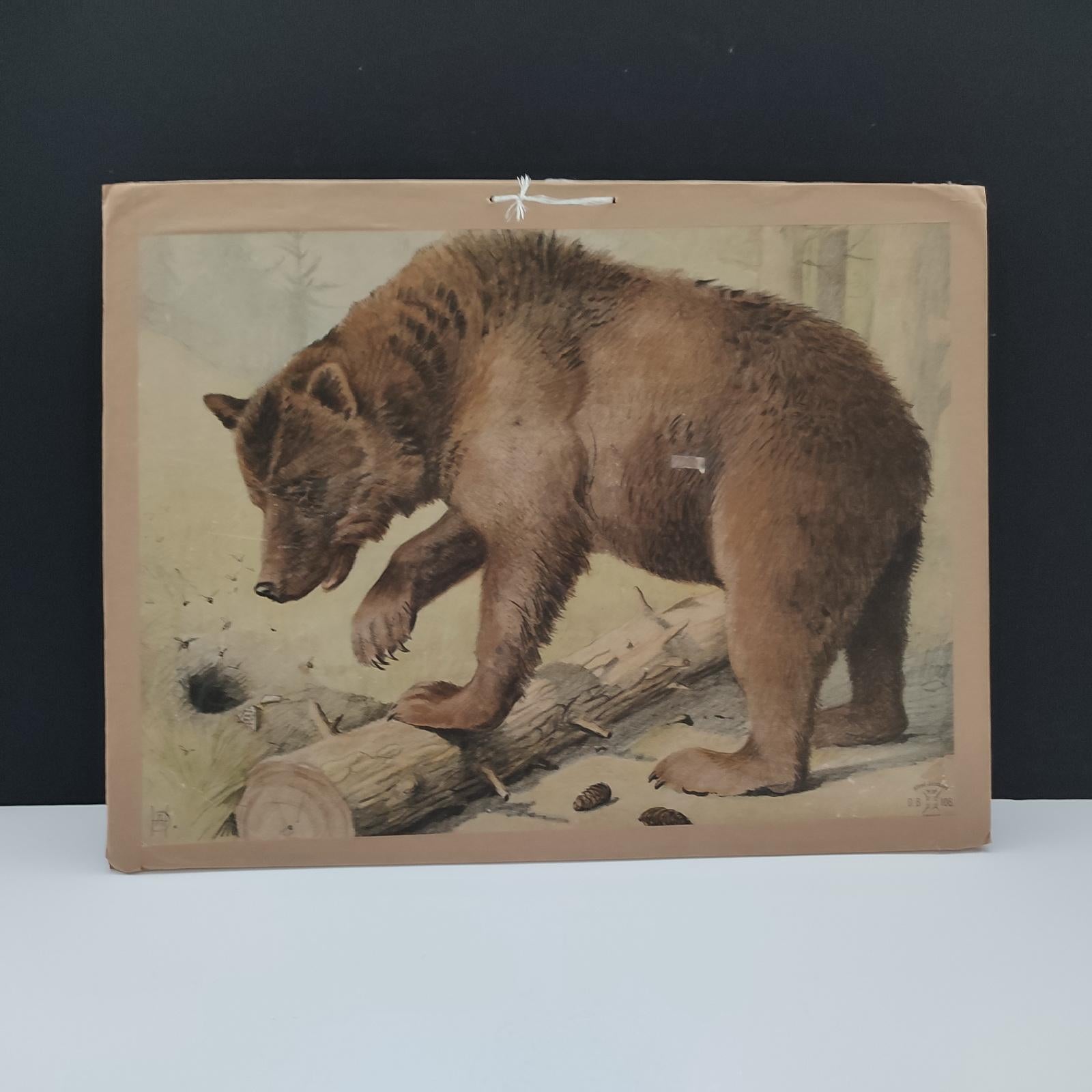 Danish Antique Set of 3 Chromolithographed Prints, Double sided, Danske Billeder 1895 For Sale