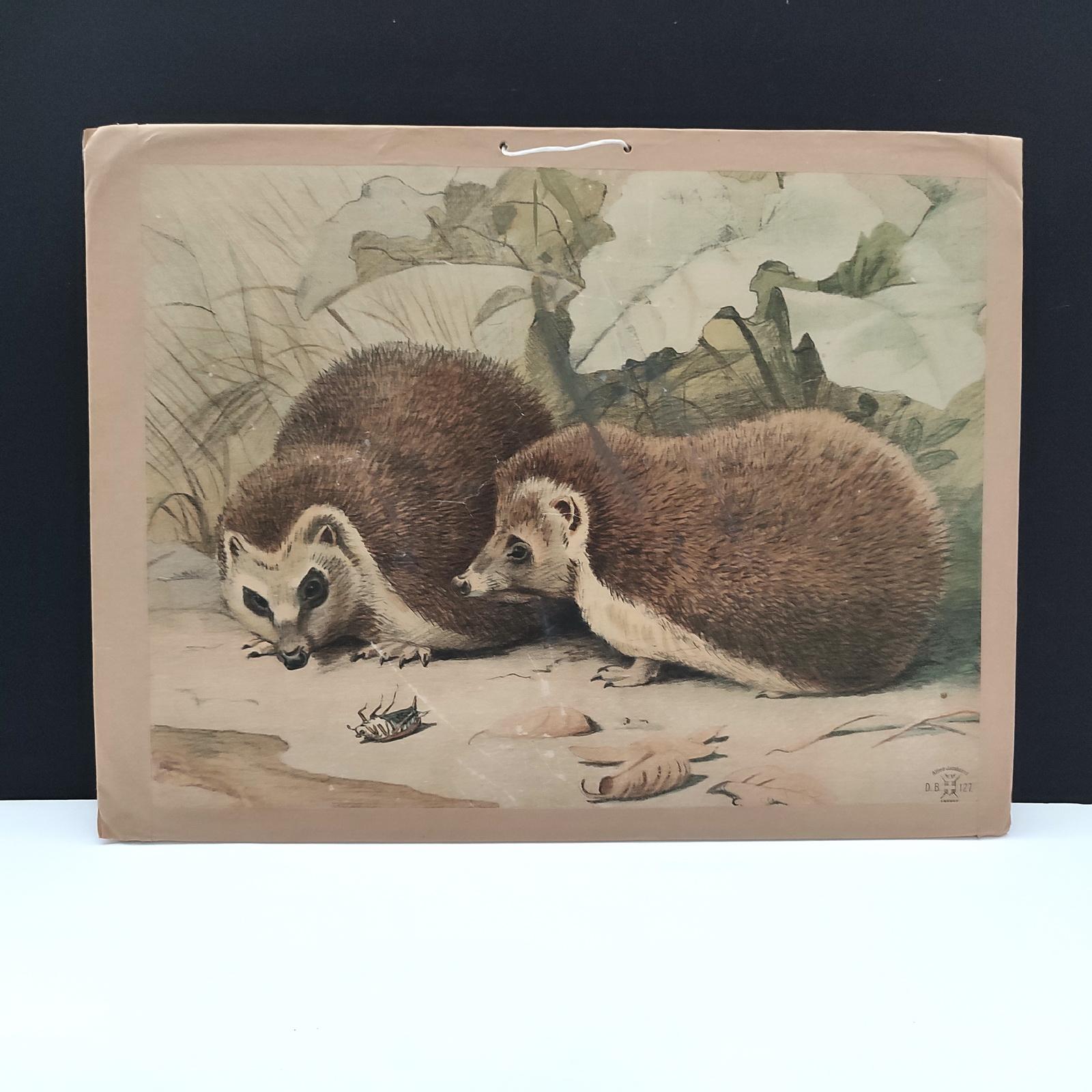 Late 19th Century Antique Set of 3 Chromolithographed Prints, Double sided, Danske Billeder 1895 For Sale