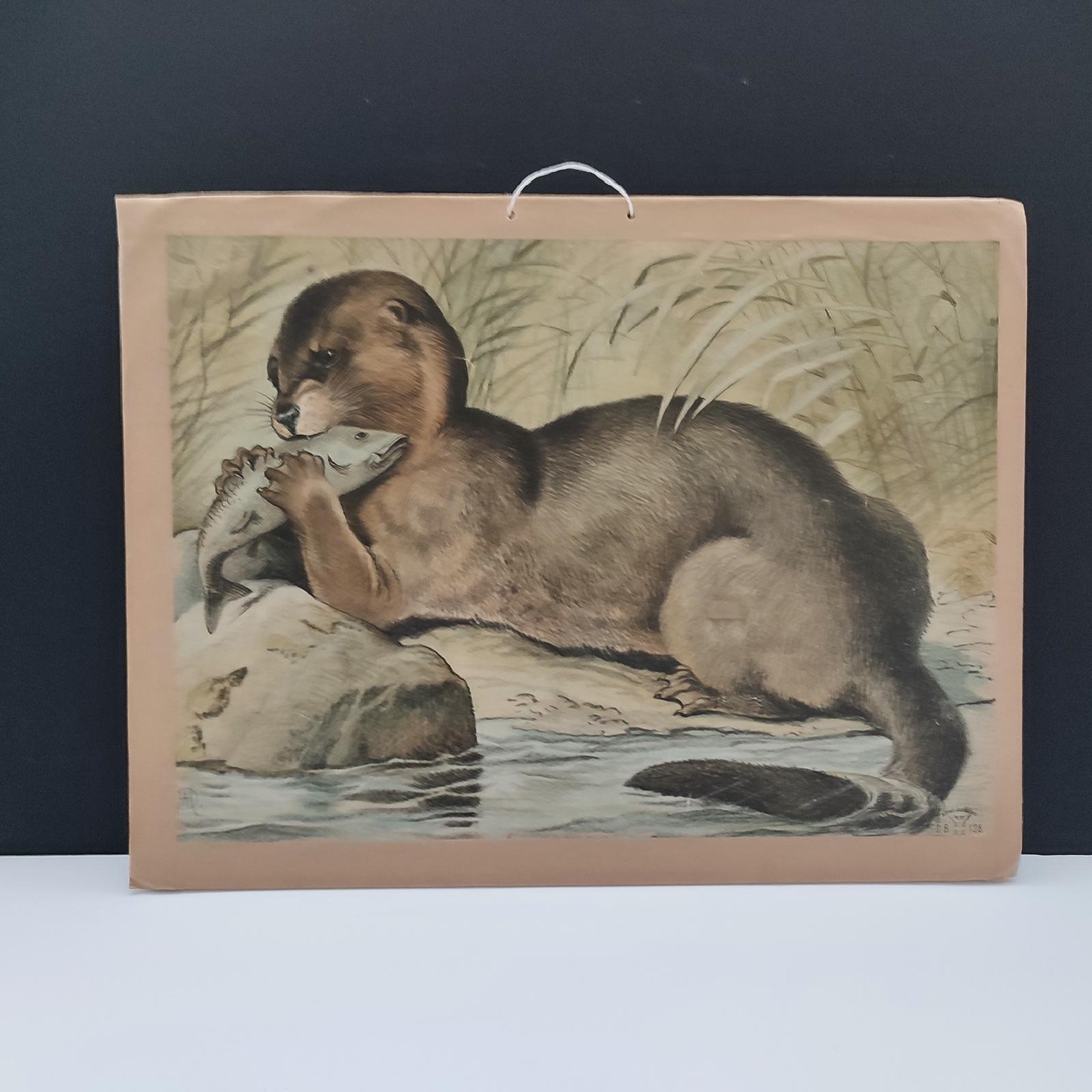 Paper Antique Set of 3 Chromolithographed Prints, Double sided, Danske Billeder 1895 For Sale