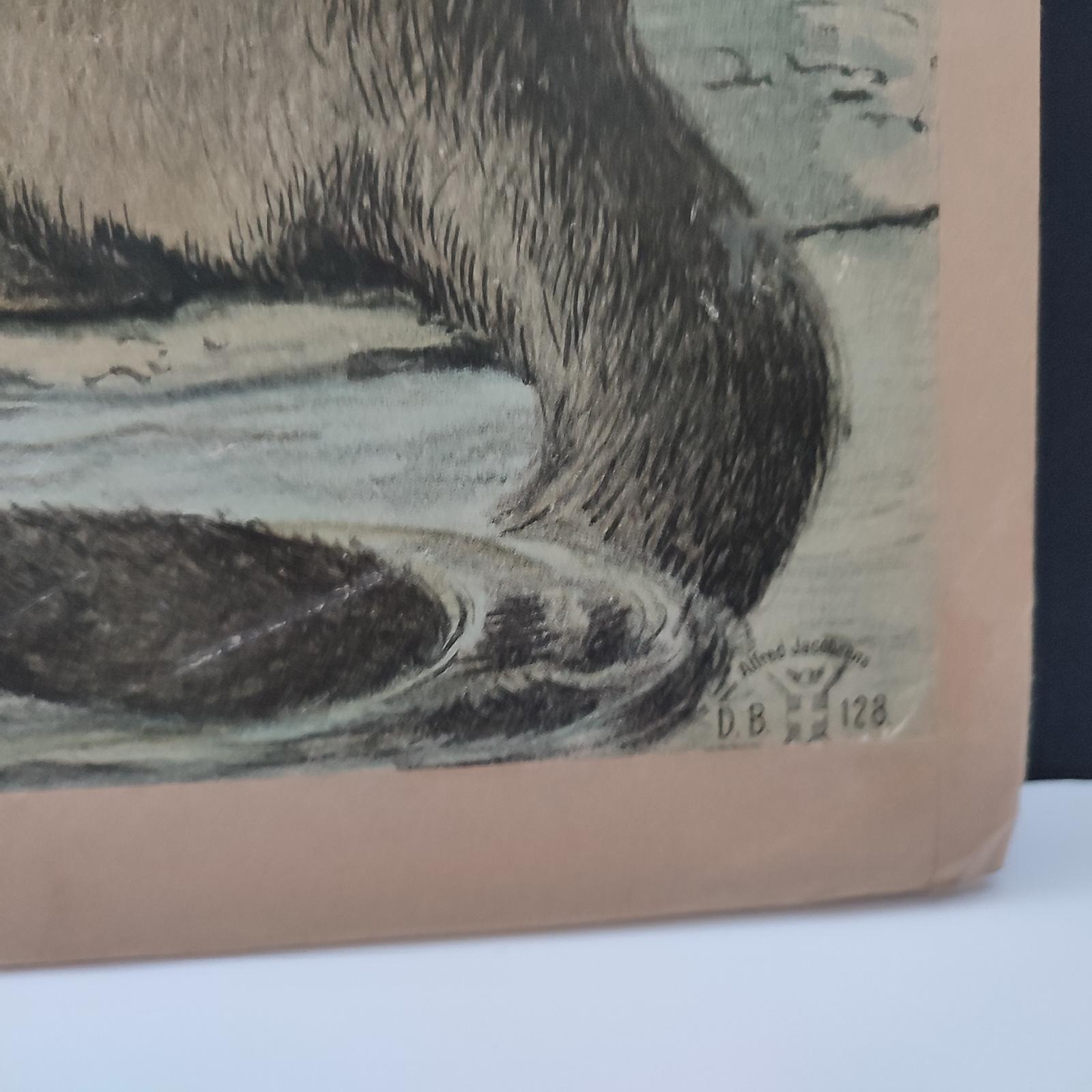 Conjunto antiguo de 3 grabados cromolitografiados, doble cara, Danske Billeder 1895 en venta 1