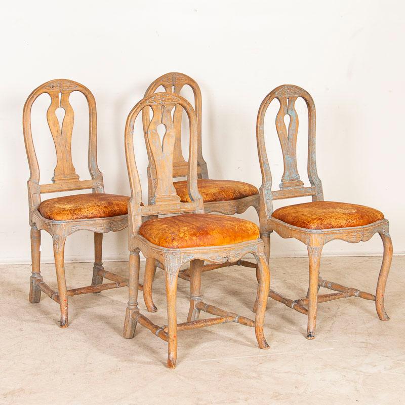 Original Swedish rococo period chairs. The graceful lines of the curved back with carved shell details are complimented by the legs and lower stretchers with trailing leaves along the legs. The stunning patina is seen in the traces of blue paint