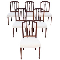 Antique Set of 6 19th Century Mahogany Dining Chairs Baker of Bath