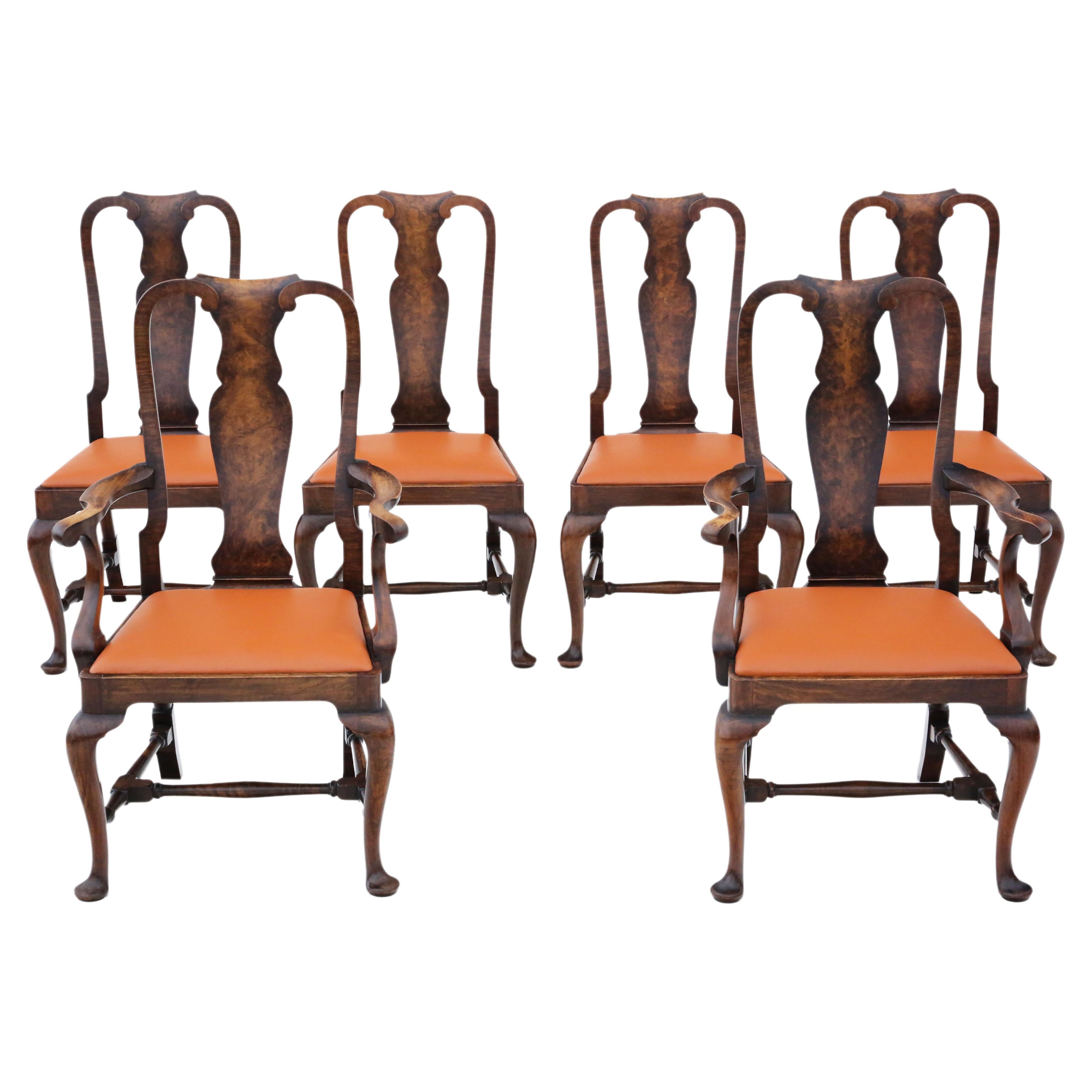 Antique Set of 6 Queen Anne Revival Burr Walnut Dining Chairs from circa 1910 -  For Sale