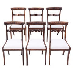 Antique Set of 6 Regency Faux Rosewood Beech Dining Chairs 19th Century