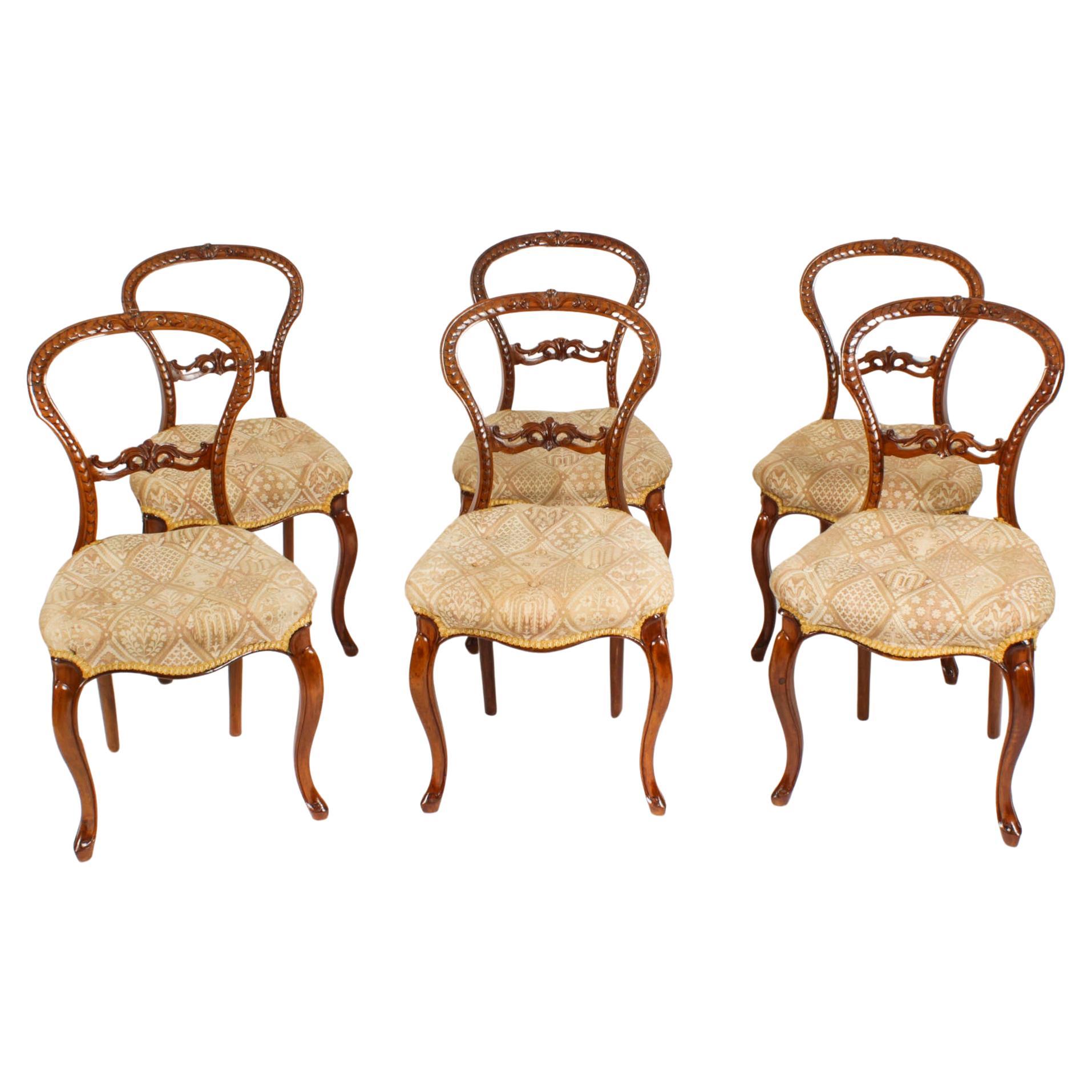 Antiker Satz von 6 viktorianischen Cabriole-Esszimmerstühlen aus Nussbaumholz, 19. Jahrhundert