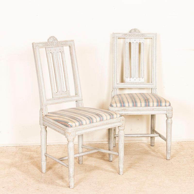 Swedish Antique Set of 6 White Painted Gustavian Dining Chairs from Sweden