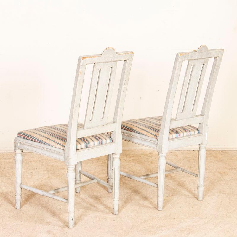 19th Century Antique Set of 6 White Painted Gustavian Dining Chairs from Sweden