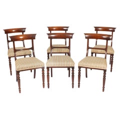 Antique Set of 6 William IV Barback Dining Chairs 19th Century
