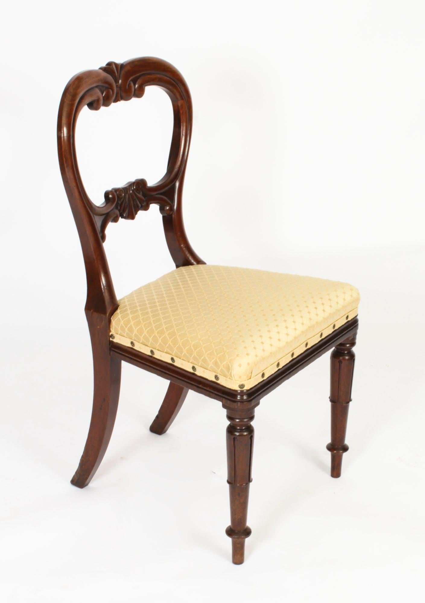 Antique Set of 6 William IV Mahogany Dining Chairs c1830 19th Century 6