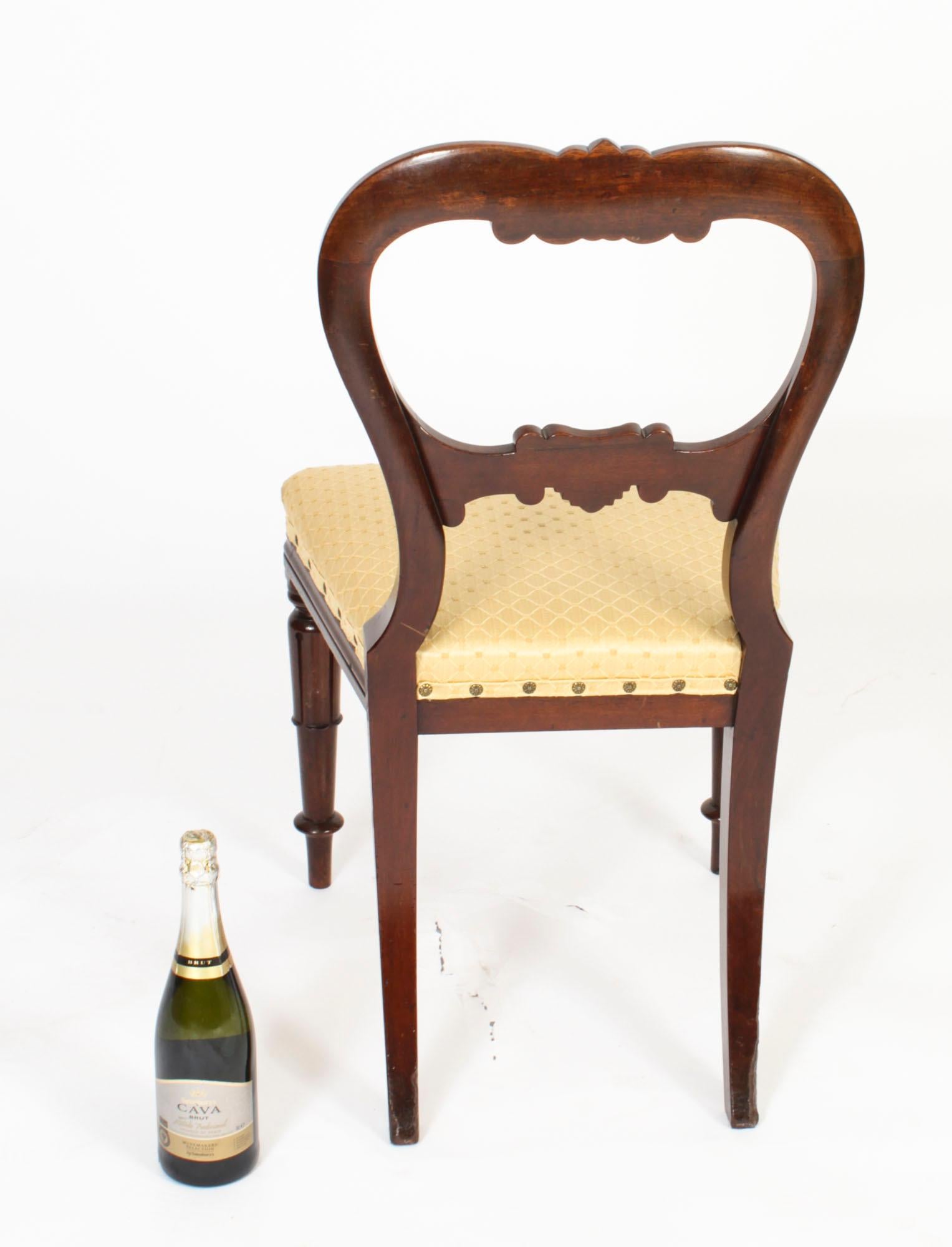 Antique Set of 6 William IV Mahogany Dining Chairs c1830 19th Century 10