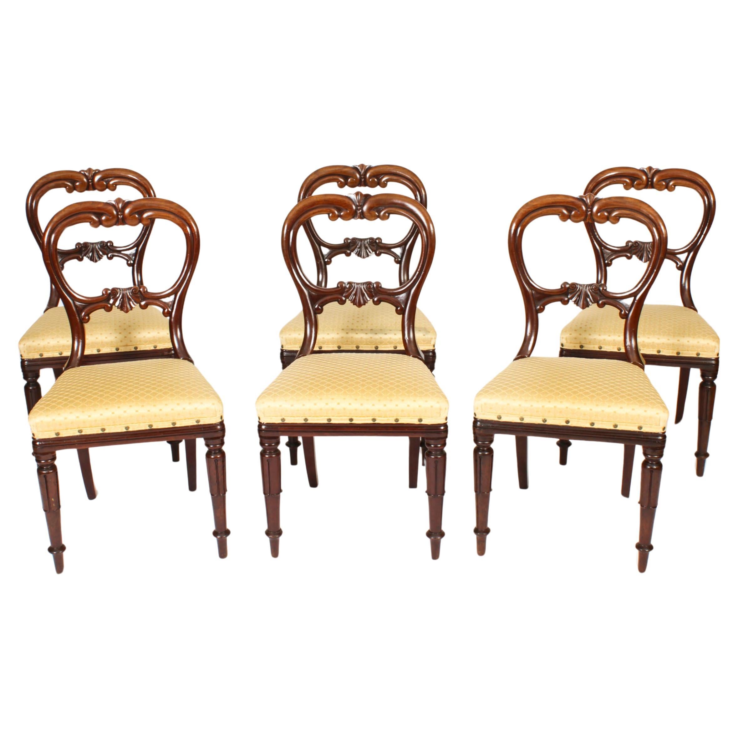 Antique Set of 6 William IV Mahogany Dining Chairs c1830 19th Century