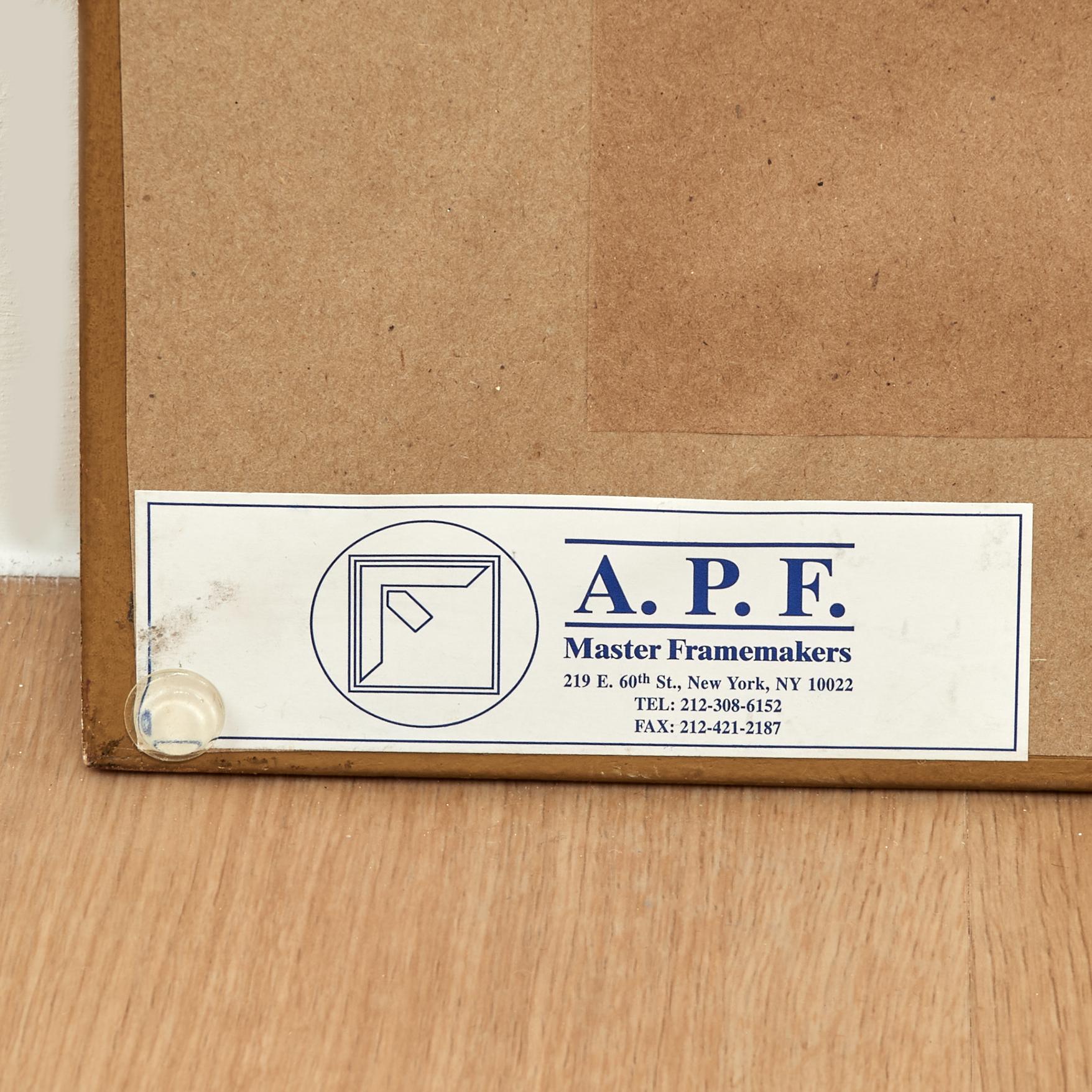 Antiker Satz von acht handkolorierten Papageiengravuren im Angebot 12