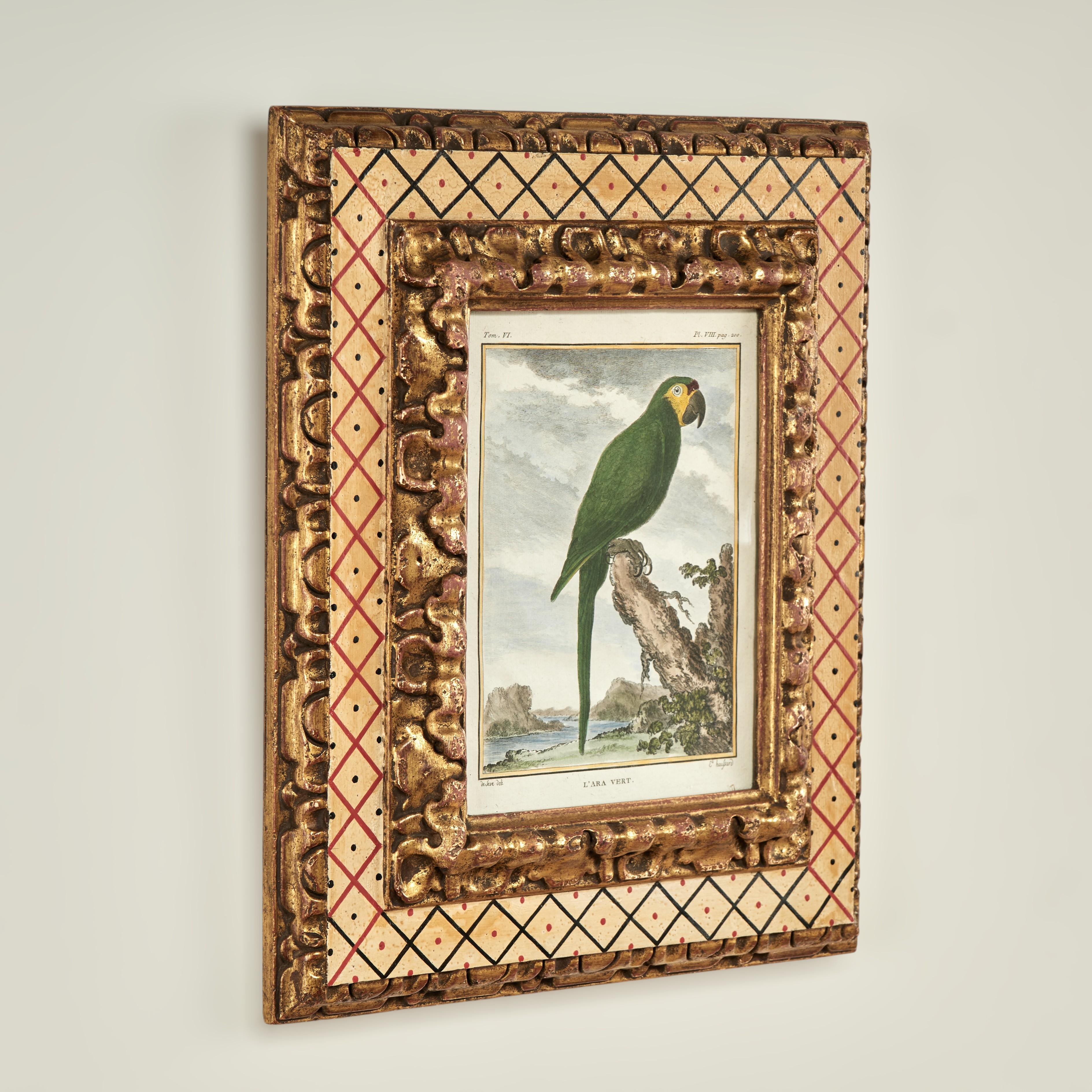 Antiker Satz von acht handkolorierten Papageiengravuren (Louis XV.) im Angebot