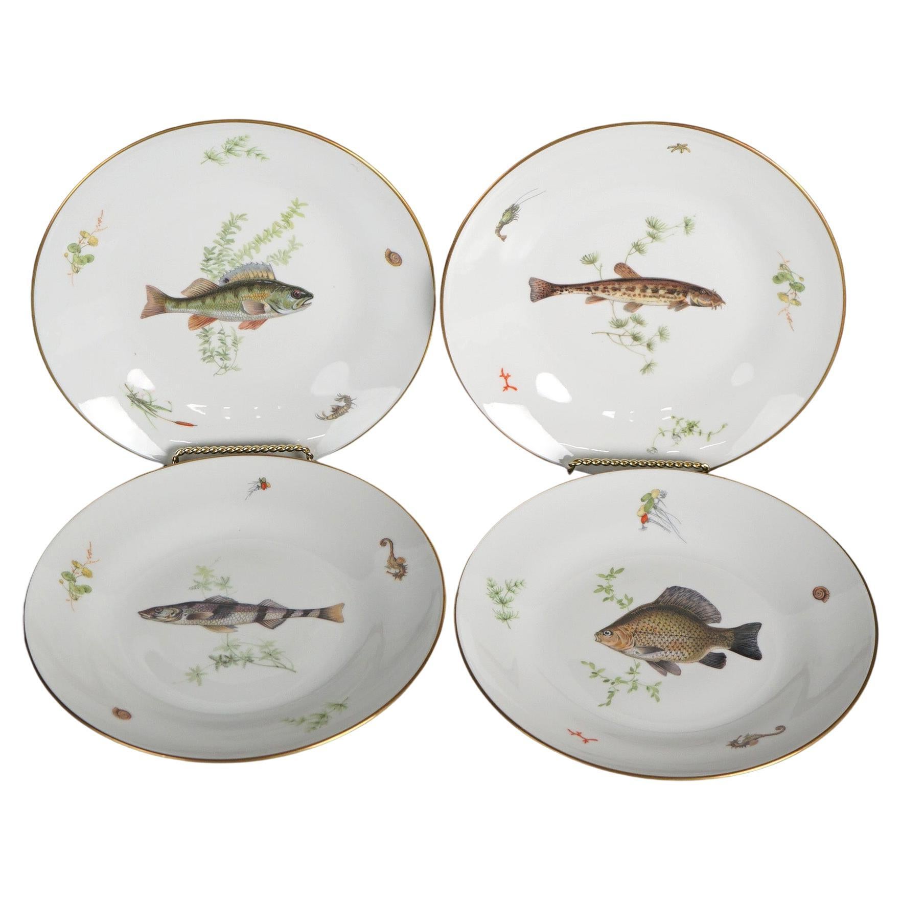 Antique Set of Four Italian Ginori Hand Painted Porcelain Fish Plates, C1930 For Sale