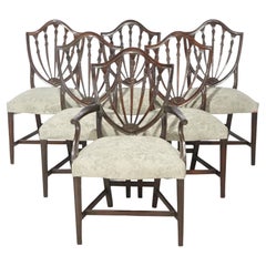 Antique Set of Six Mahogany Hepplewhite Shield Back Dining Chairs circa 1920