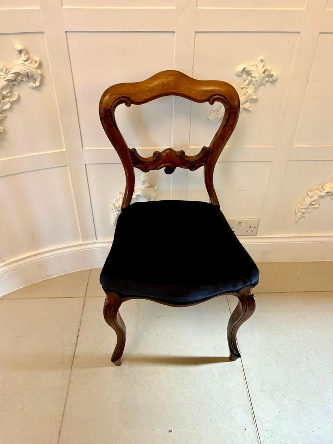 Antike Satz von sechs Qualität viktorianischen Palisander Ballon zurück Esszimmerstühle im Angebot 3