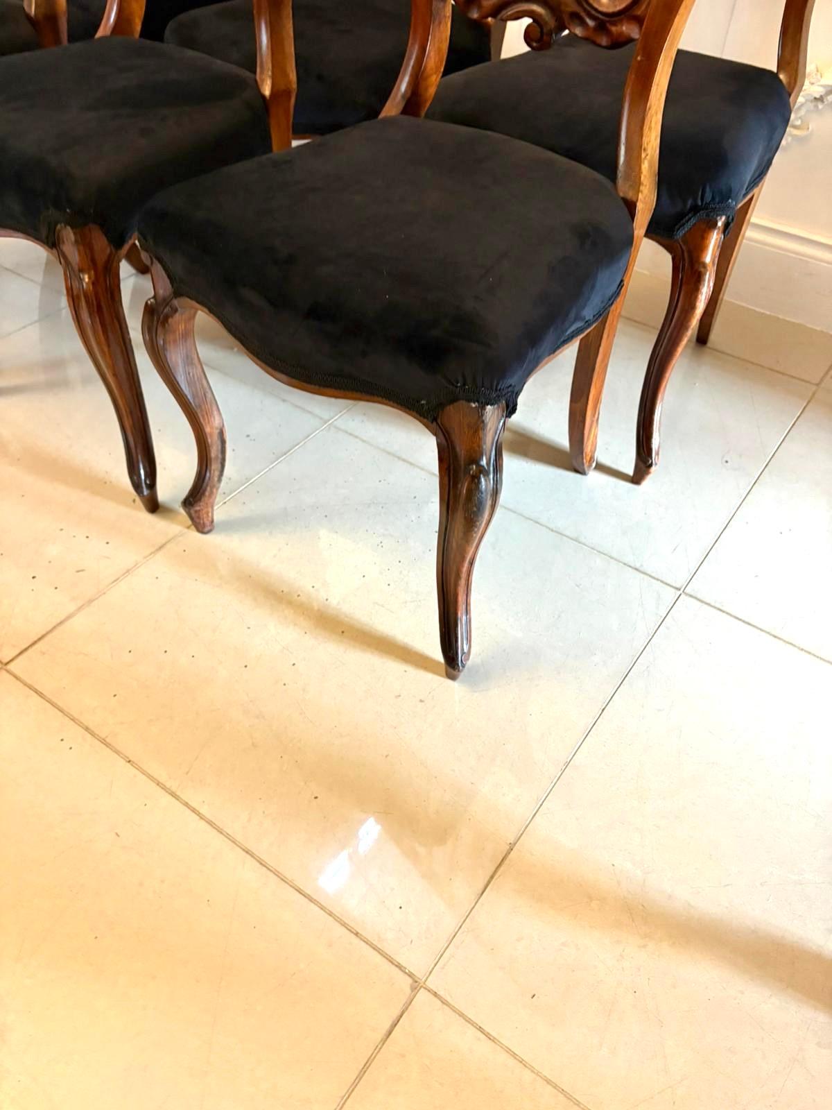 Antike Satz von sechs Qualität viktorianischen Palisander Ballon zurück Esszimmerstühle im Angebot 5