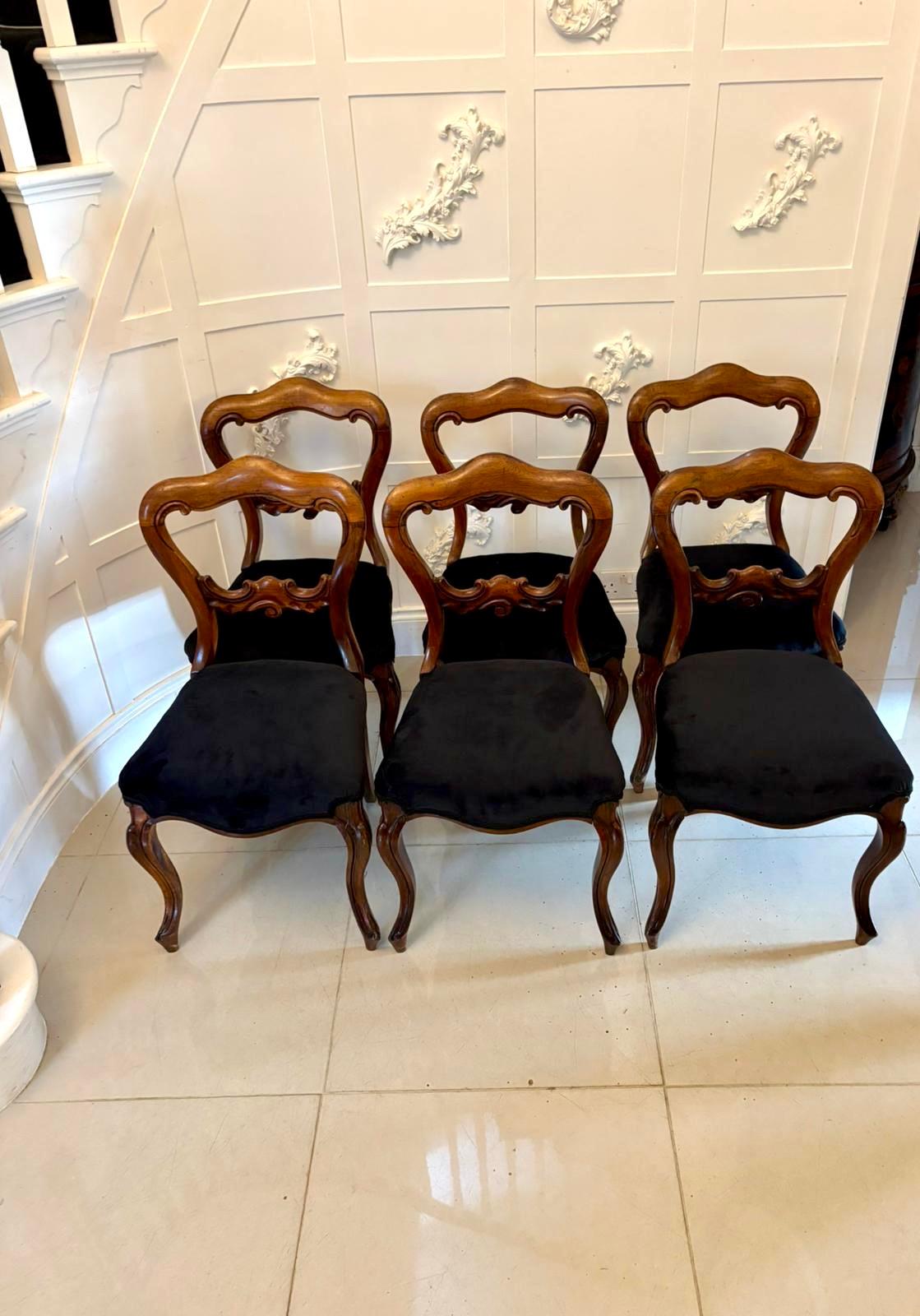 Eine feine Qualität Satz von sechs antiken viktorianischen Rosenholz Ballon-Rücken Esszimmerstühle jeweils schön von Hand geschnitzt und zeigt eine reiche, gut strukturierte Maserung mit ausgezeichneter Farbe und Patina. Die eleganten