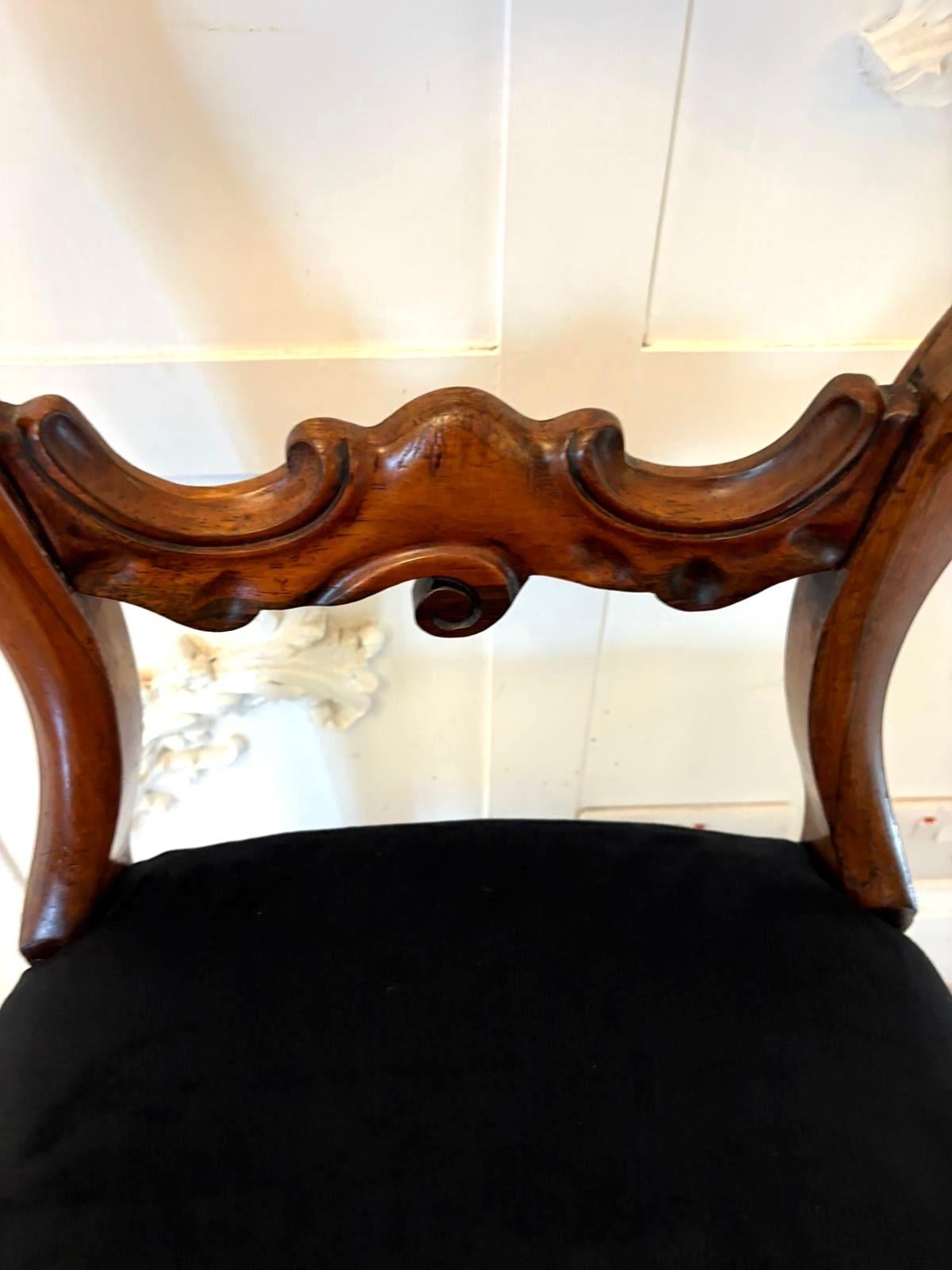 Antike Satz von sechs Qualität viktorianischen Palisander Ballon zurück Esszimmerstühle (Rosenholz) im Angebot