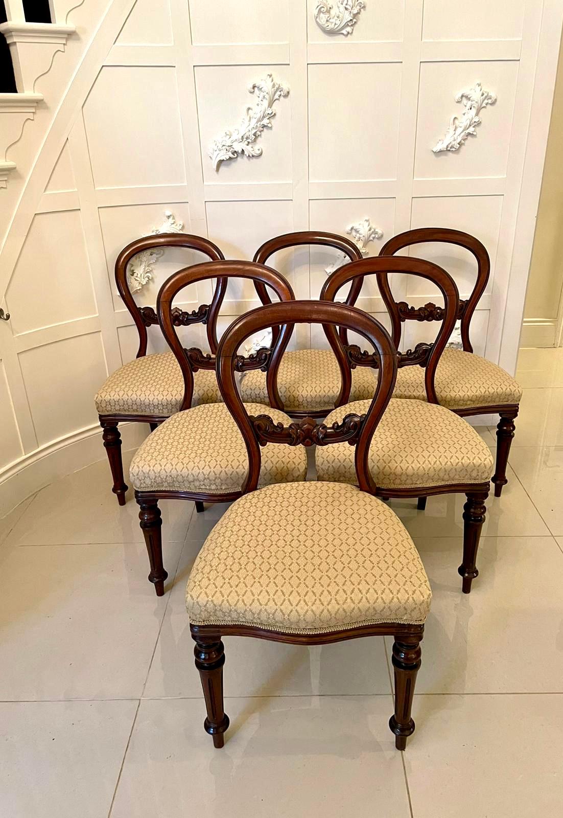 Antique quality set of six Victorian mahogany balloon back dining chairs having charming mahogany balloon backs with quality carved centre splats. Attractive serpentine mahogany front rails and raised on turned shaped legs to the front and outswept