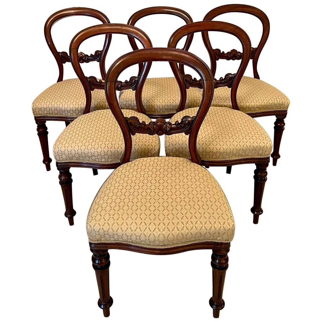 Antique Set of Six Victorian Mahogany Balloon Back Dining Chairs