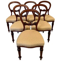 Antique Set of Six Victorian Mahogany Balloon Back Dining Chairs
